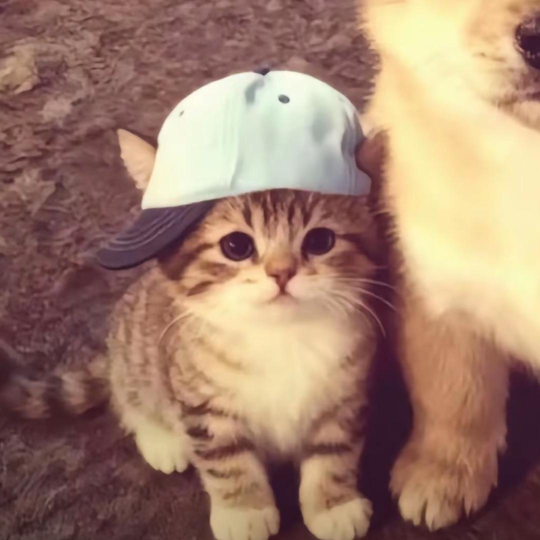 小瑜^