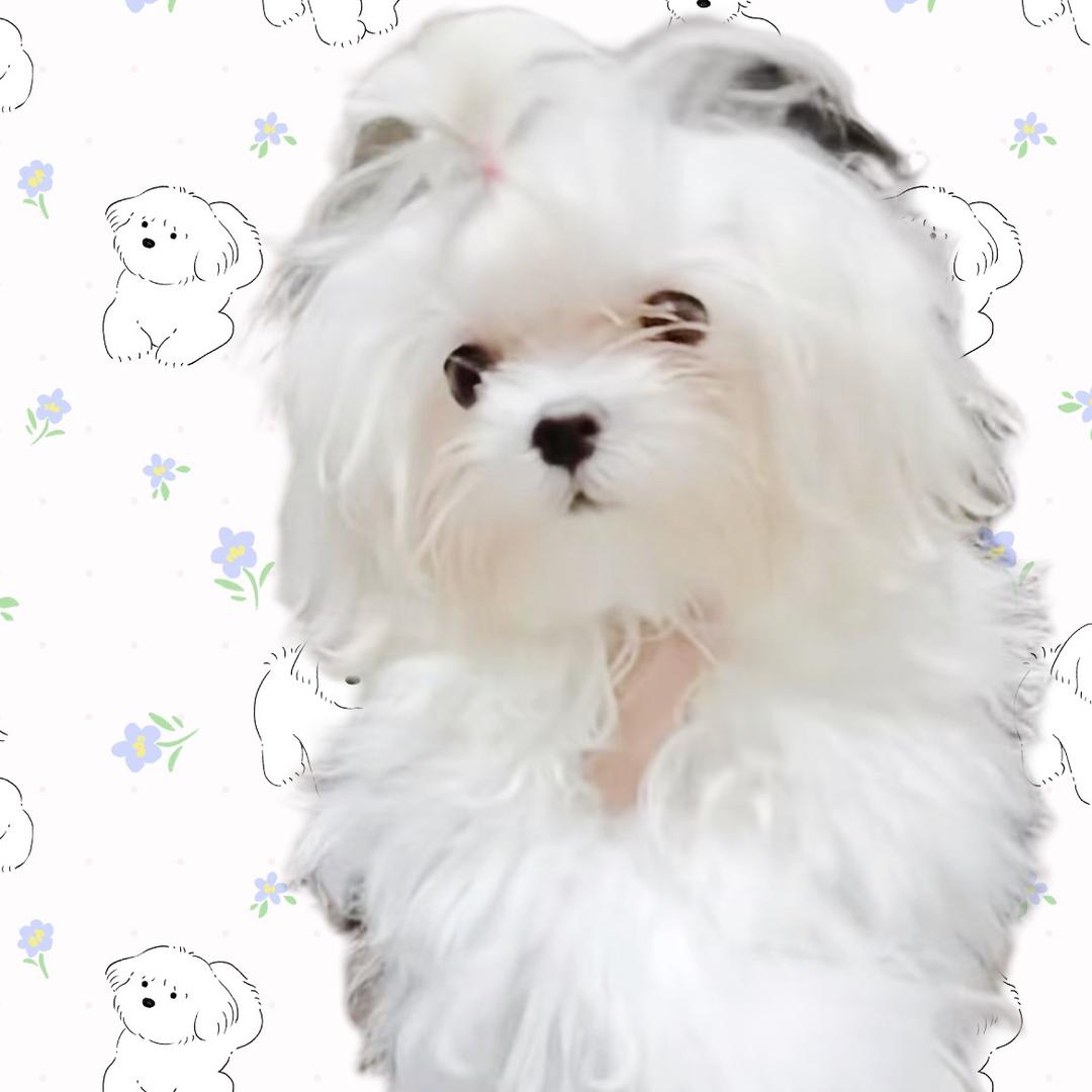 用户243595816762