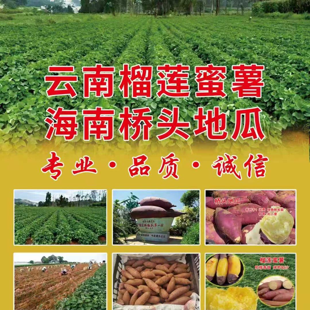 瑞瑞日用好物精选