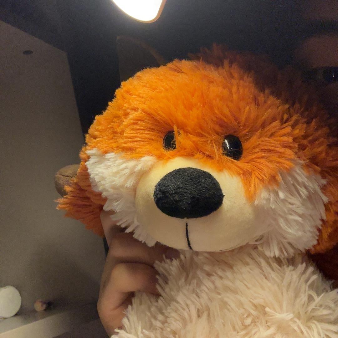 孤独的流浪者