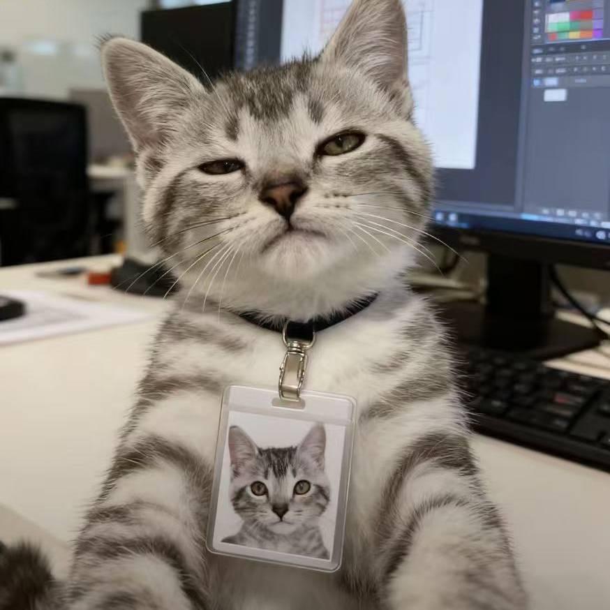 みかん好きの猫