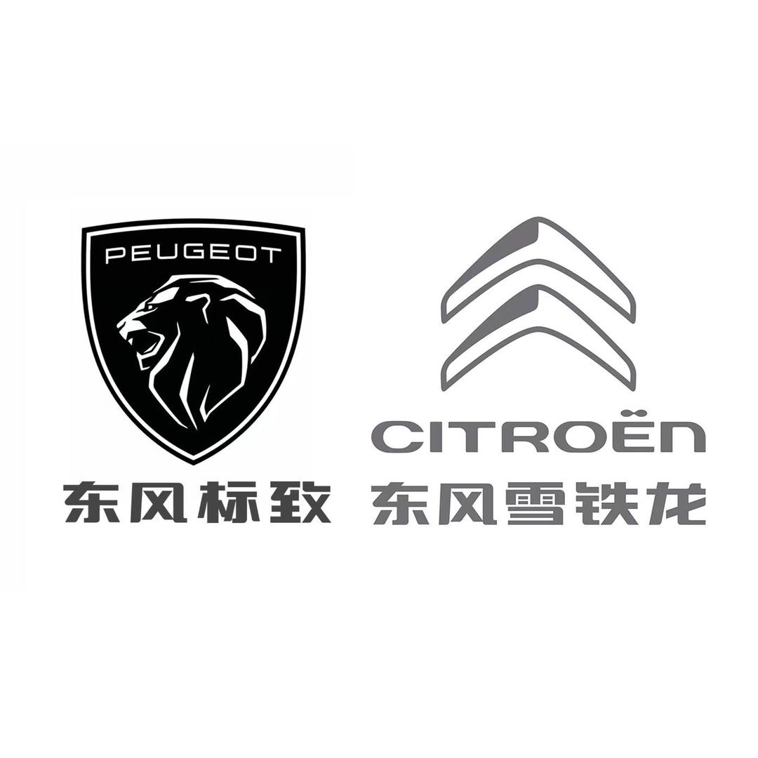 LIONET.TWO CARS