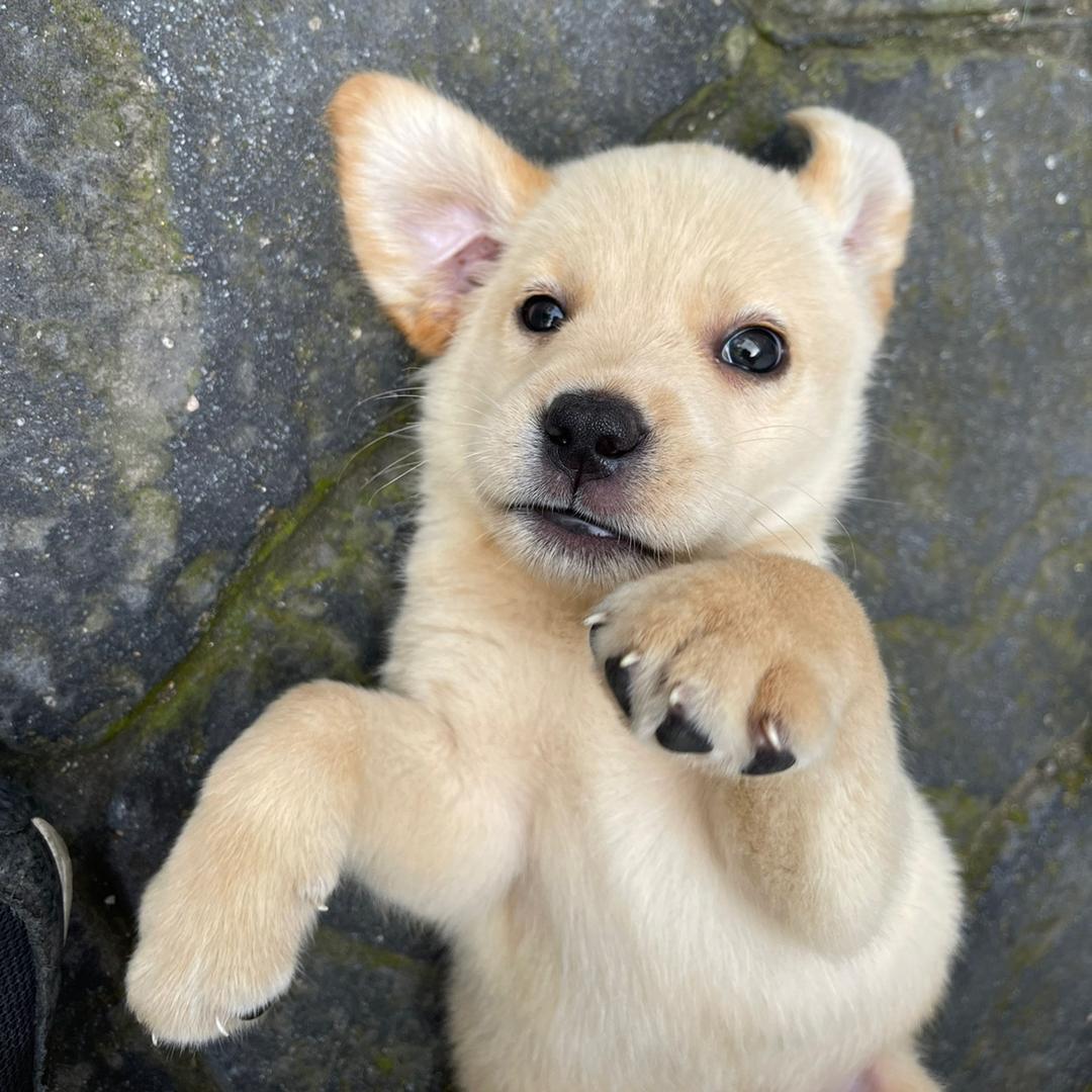 未来优品便利店（美都店）