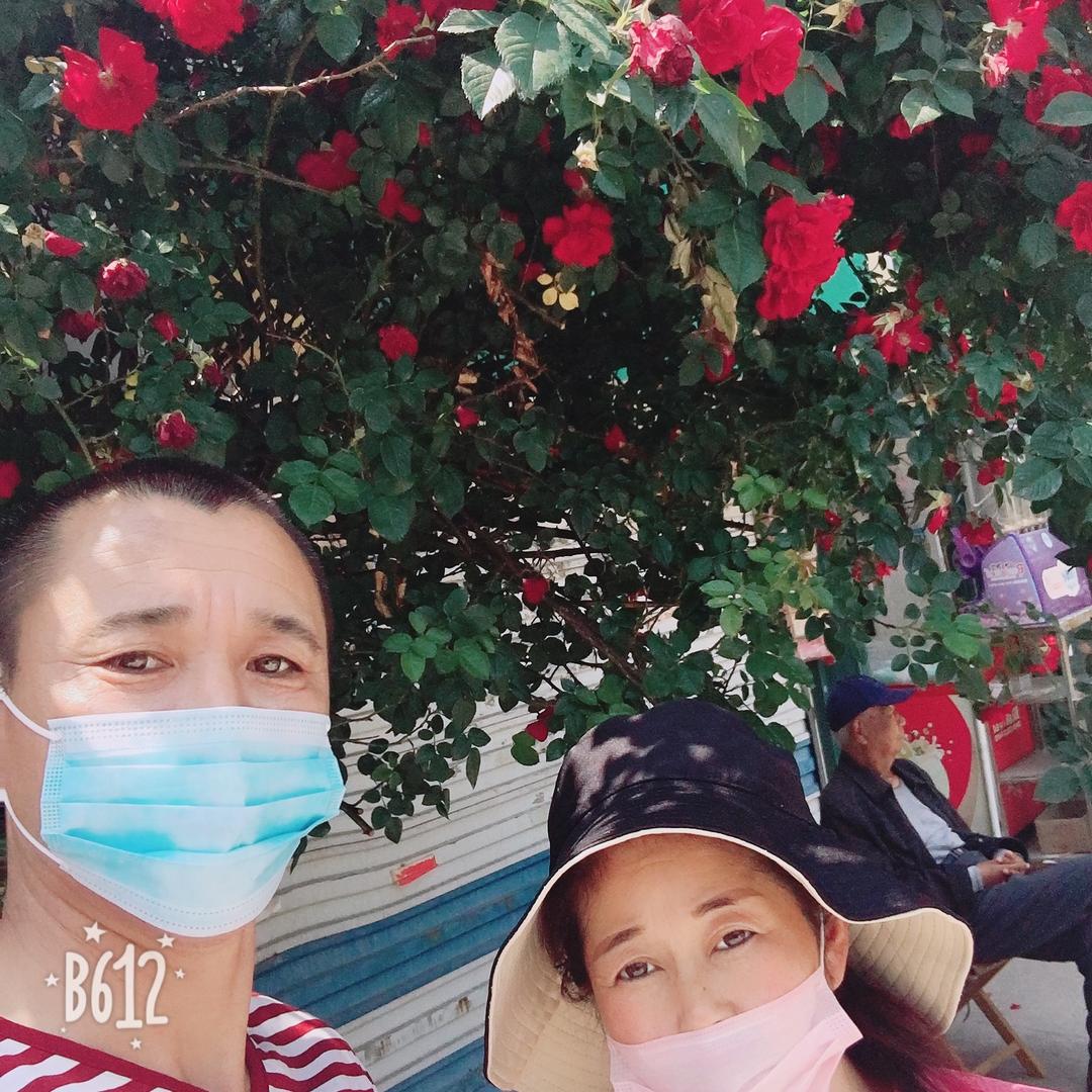 机械设备安装、