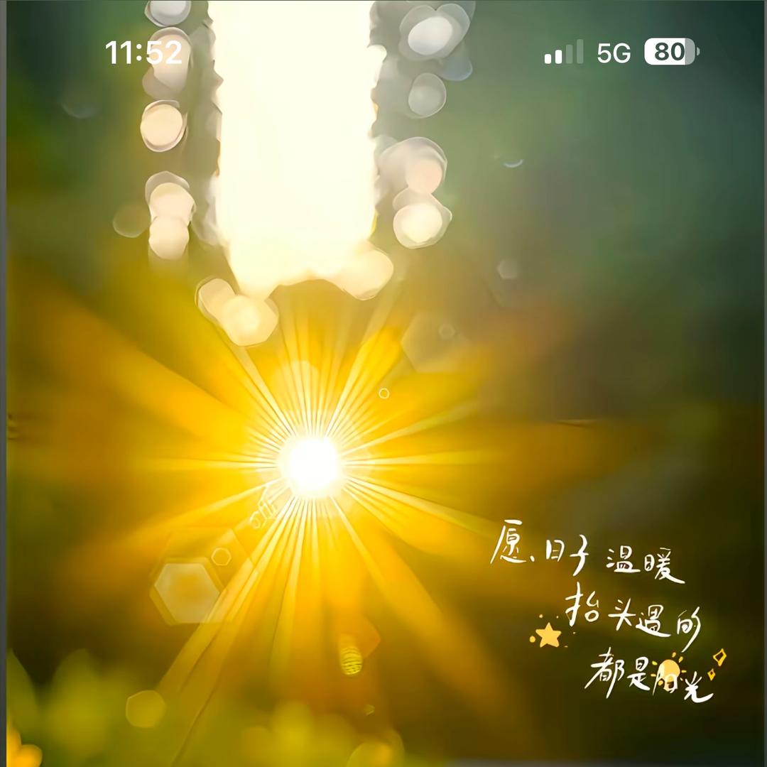 原野数码电子商行