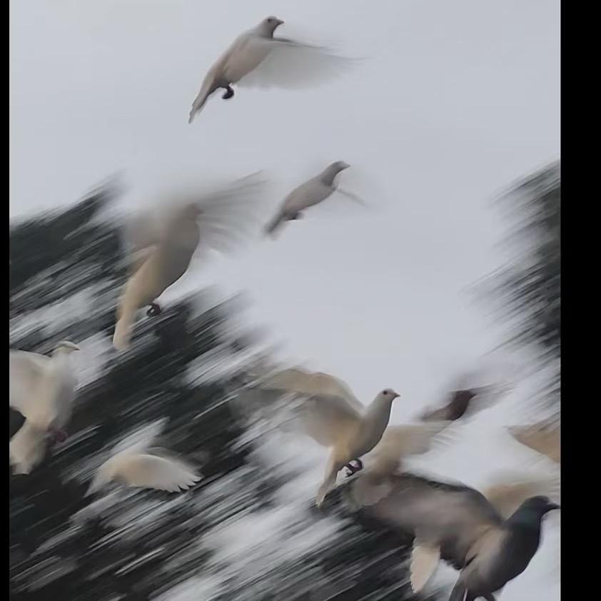 童