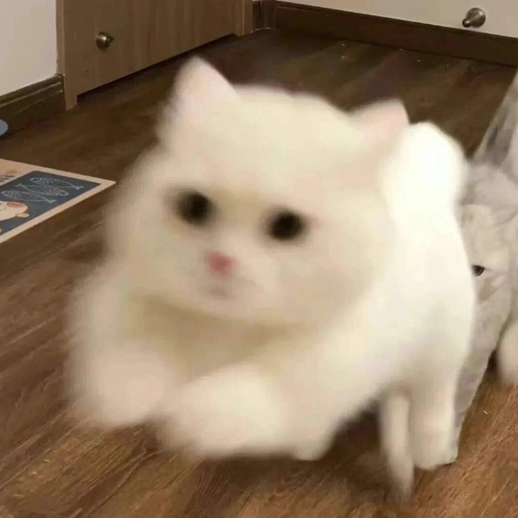 kiki