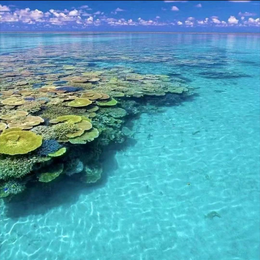 蓝海优鲜（良庆店）