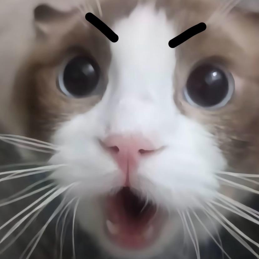 Hzzzz