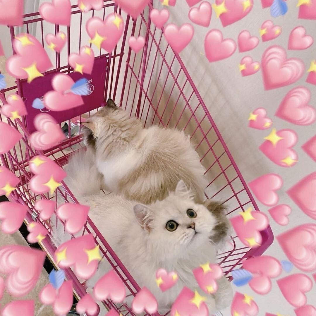 诗语