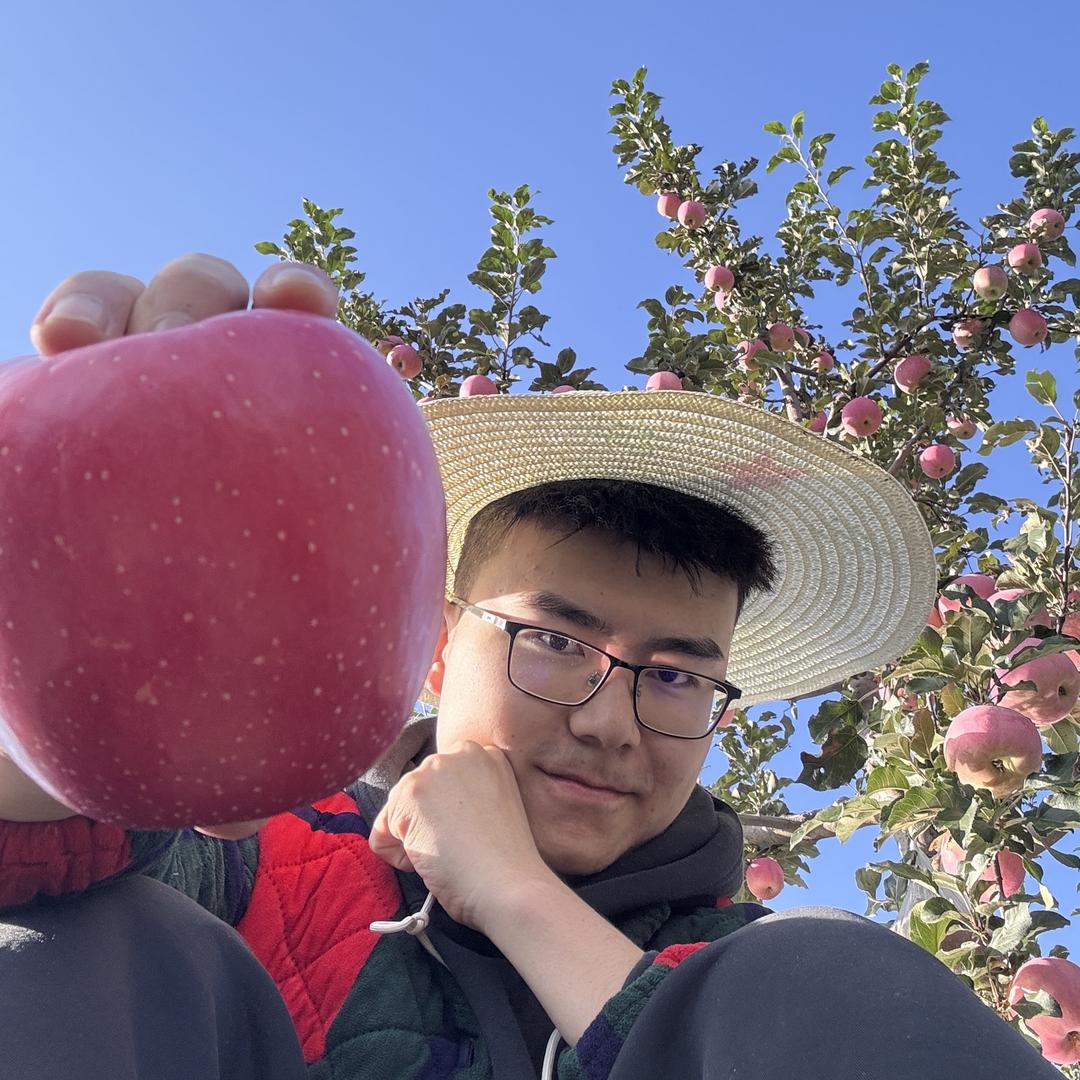 大头家的百亩苹果园