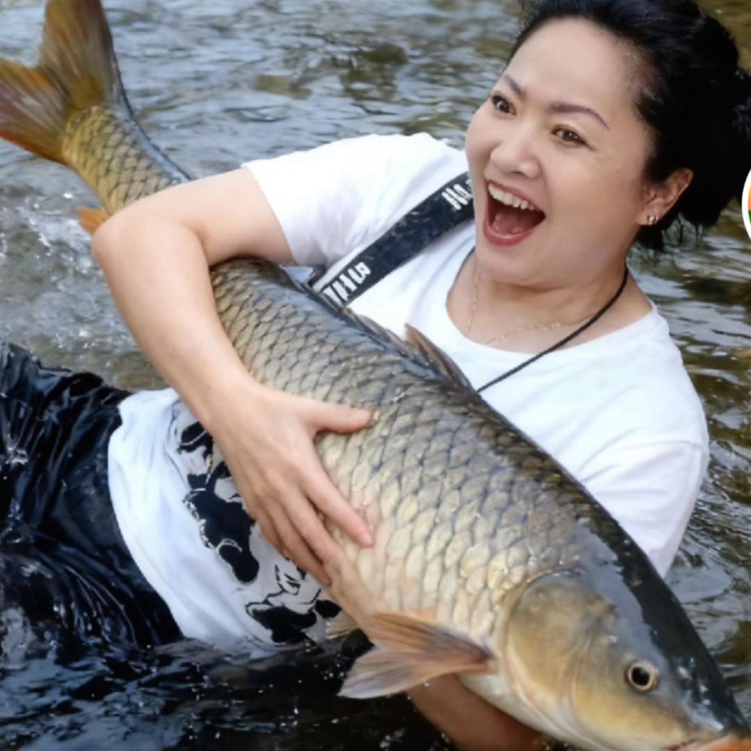 🐟鱼会飞