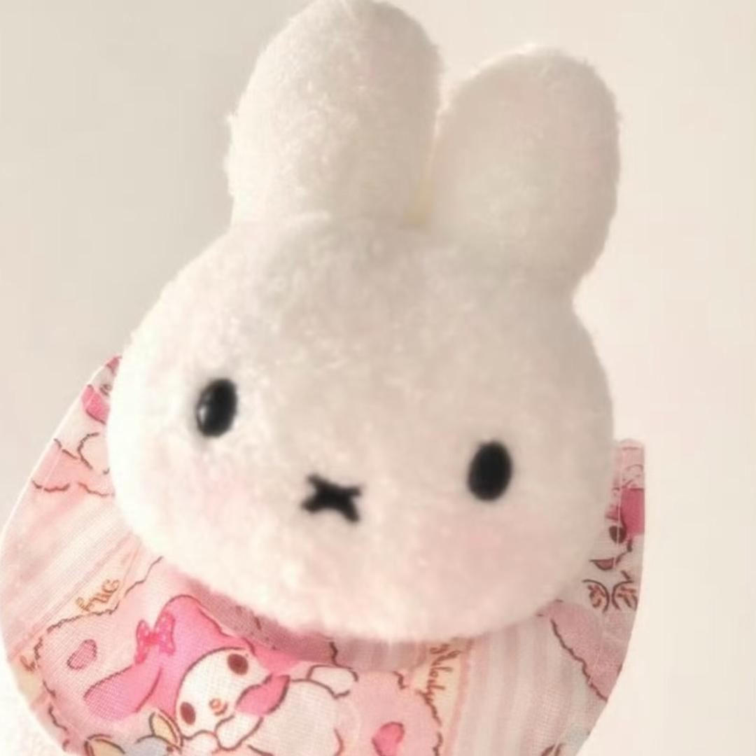 一只兔子🐰