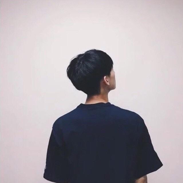 北晨光