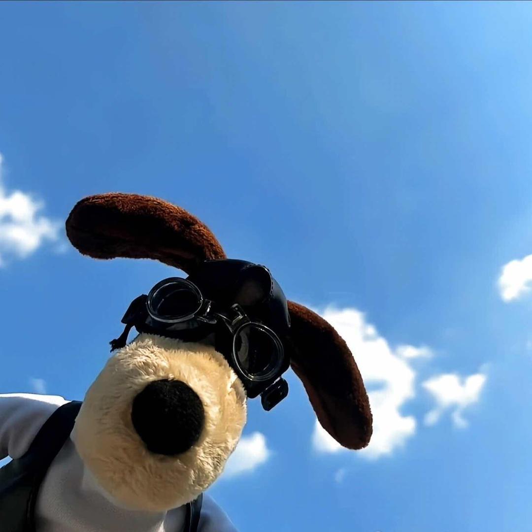 踹瘸子那条好腿