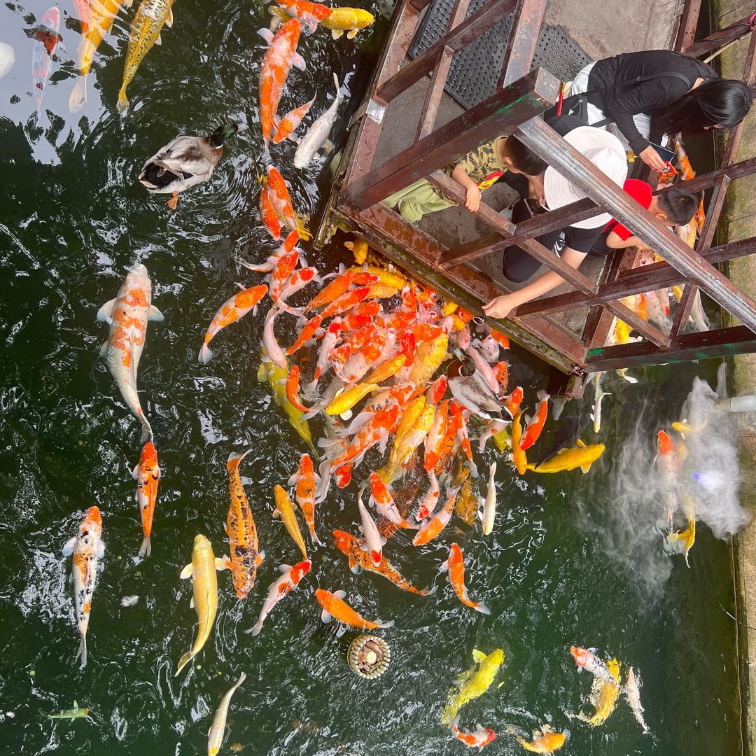 浙江蓝色创意广告