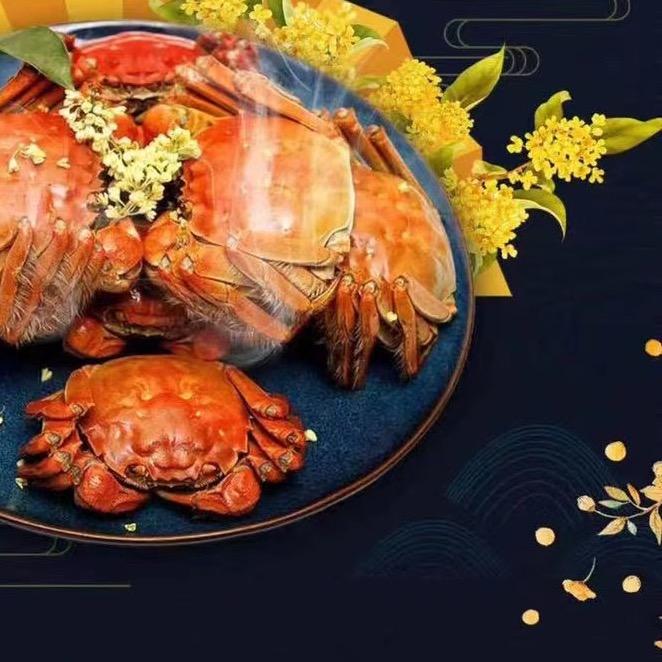 阳澄湖大闸蟹蟹满足