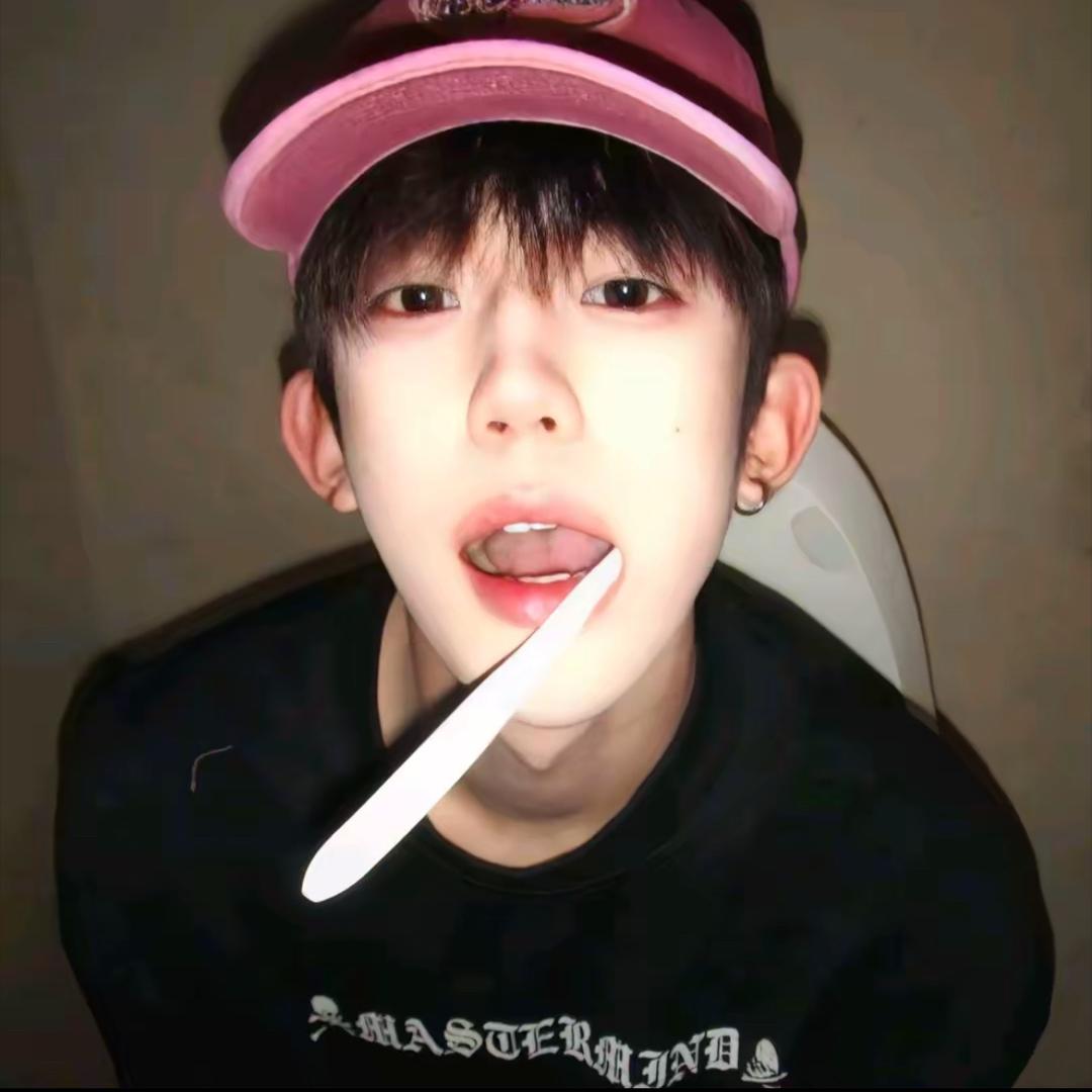 布偶