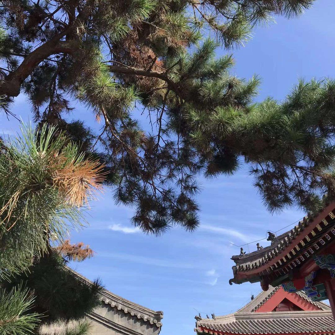 沈阳故宫、帅府专业讲解