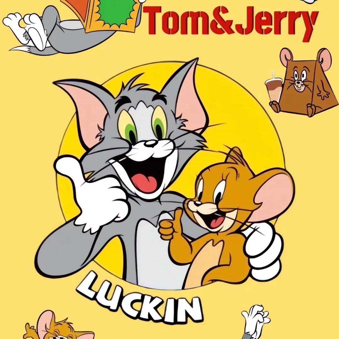 星星的橱窗好物