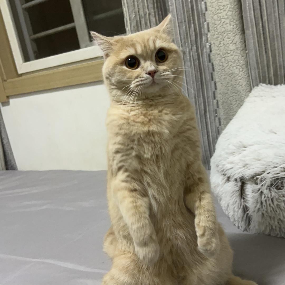 你