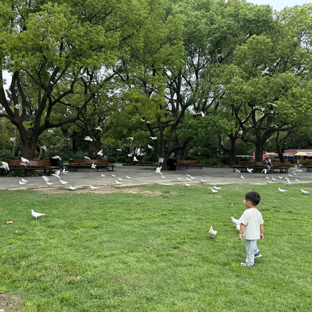 小小宇