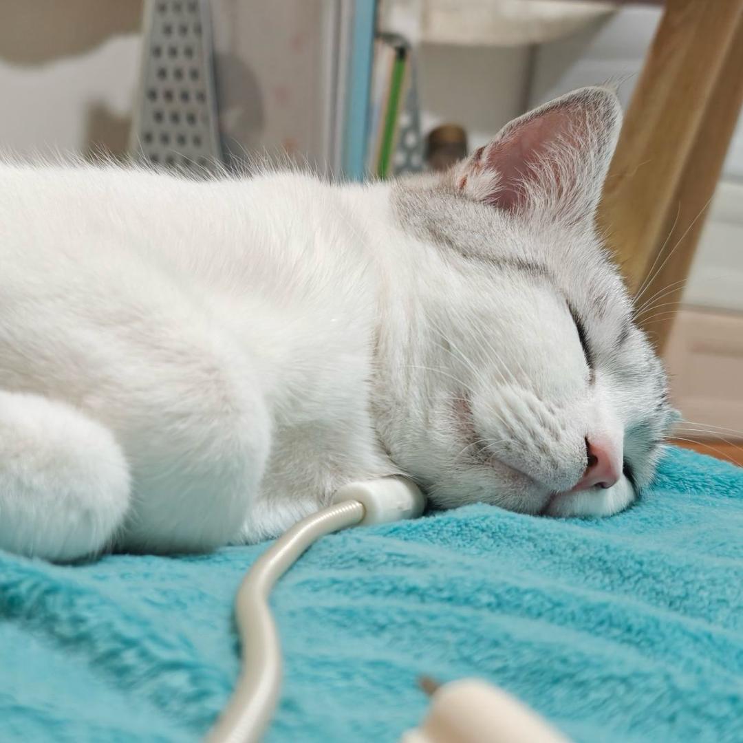 鑫易恒达商贸-小凡