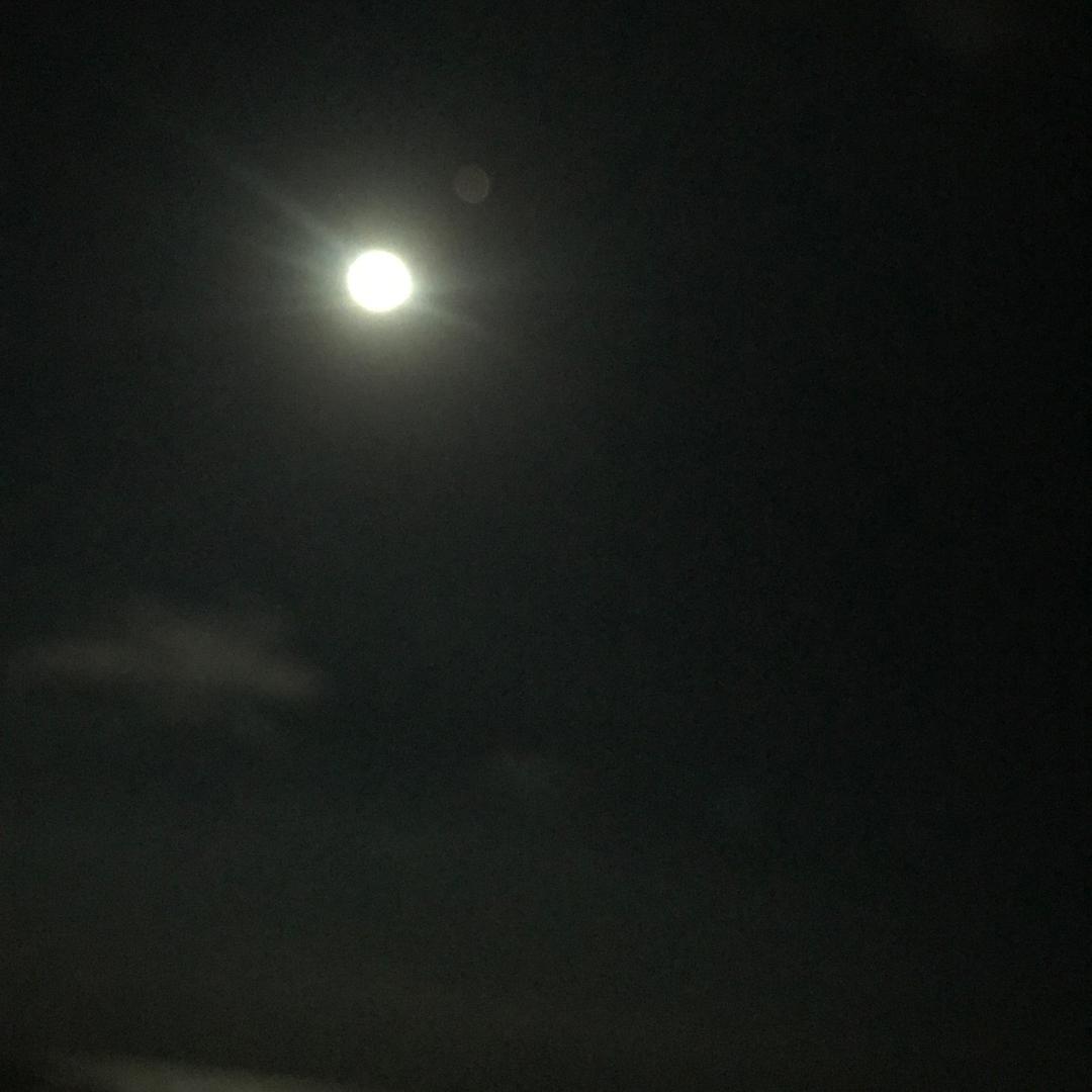 抖音小雨【石器时代觉醒】