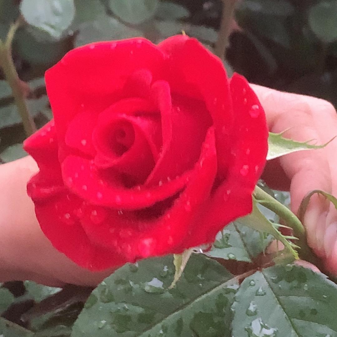 沉默？拒绝连赞。