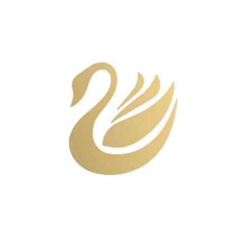 歌初雅大码女装官方账号