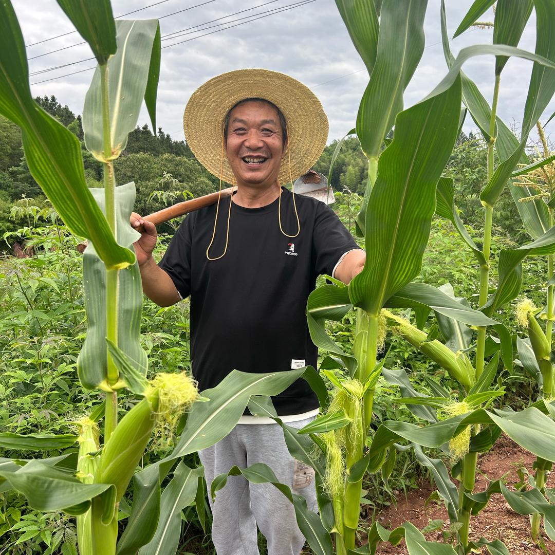 农民李叔