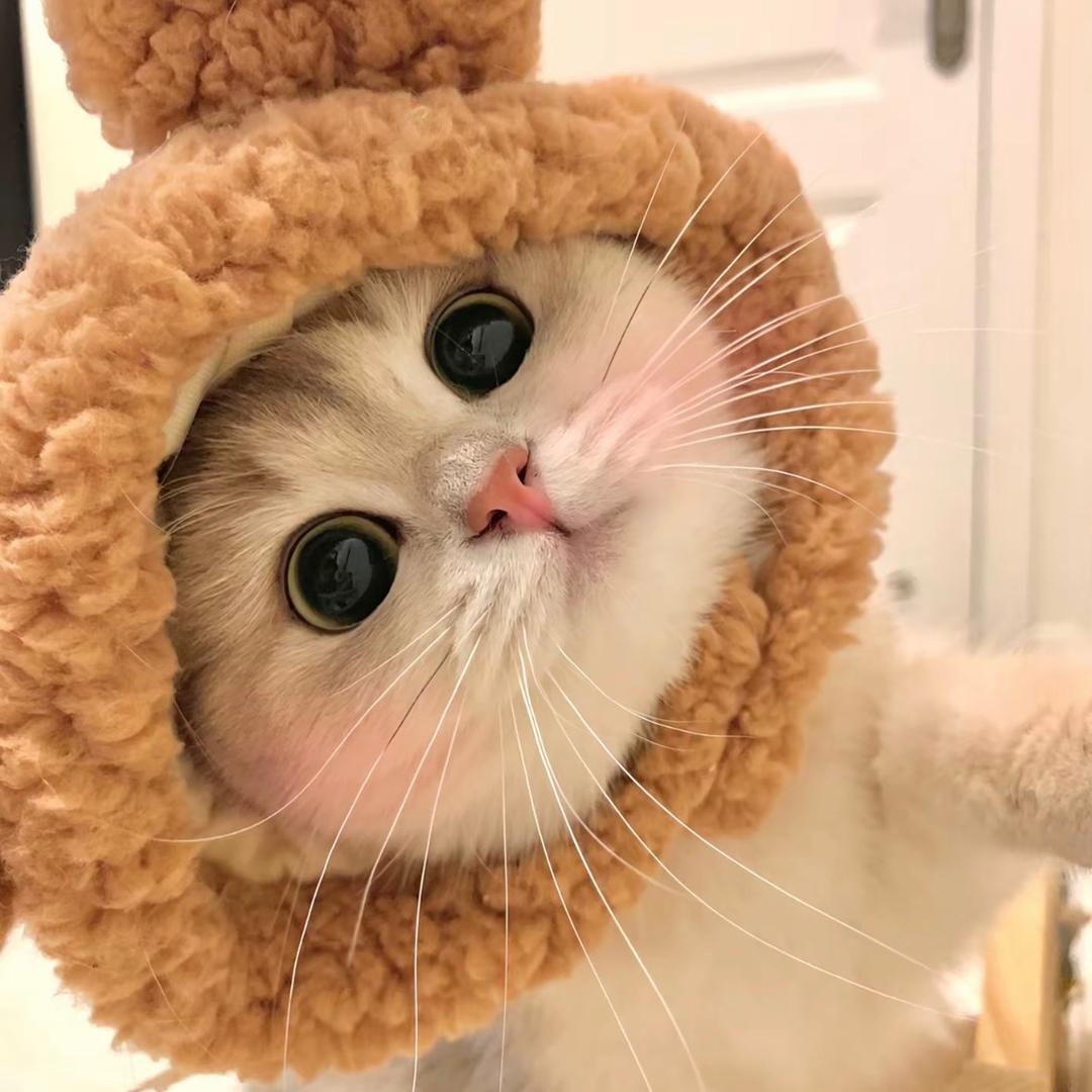 C位贼6