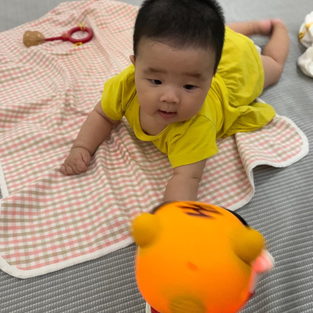 小红豆