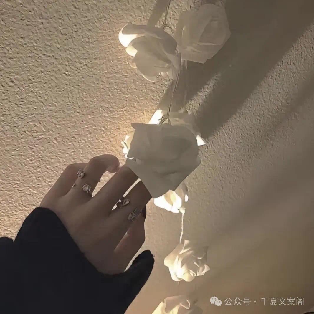 小眼睛
