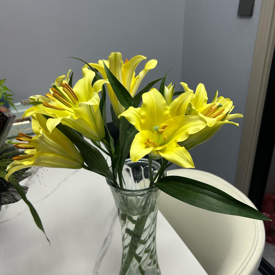 鸿运宾馆（棋牌）