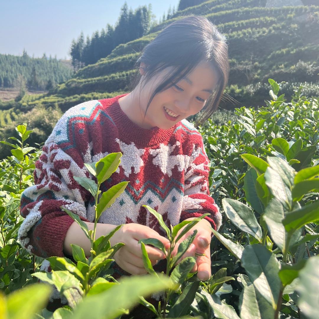十分茶行