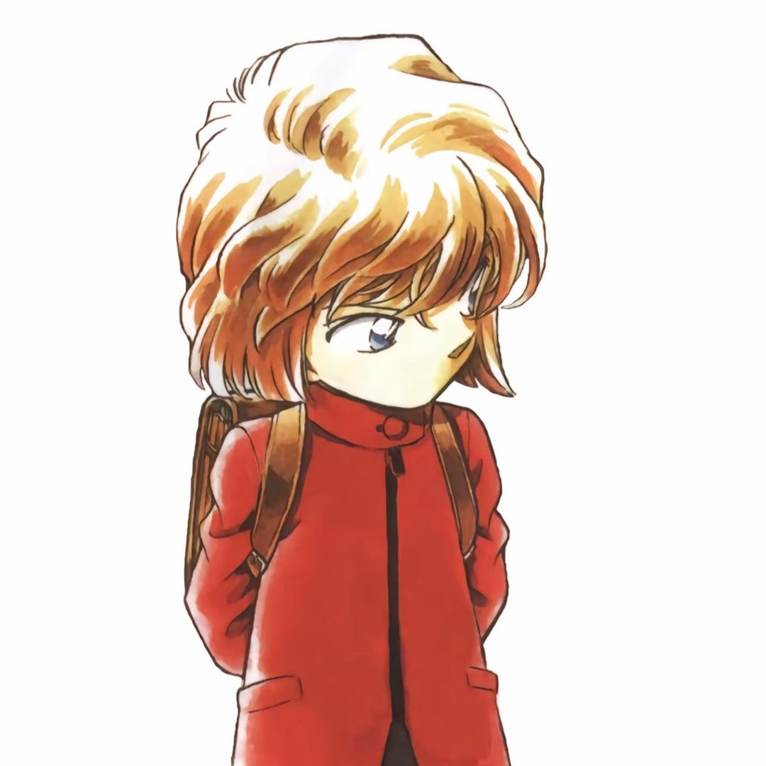 伍岚正