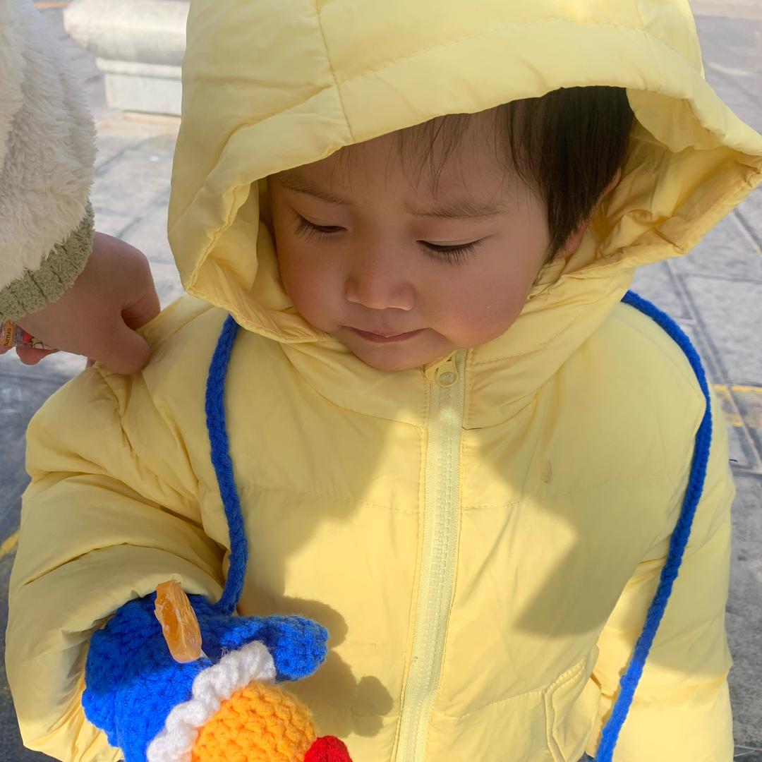 洛伊