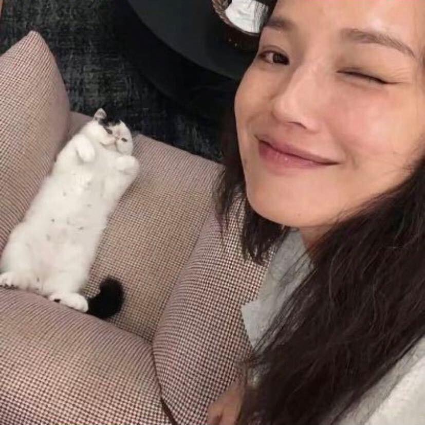 刘黛玉