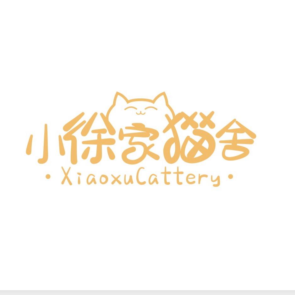 夜神月。