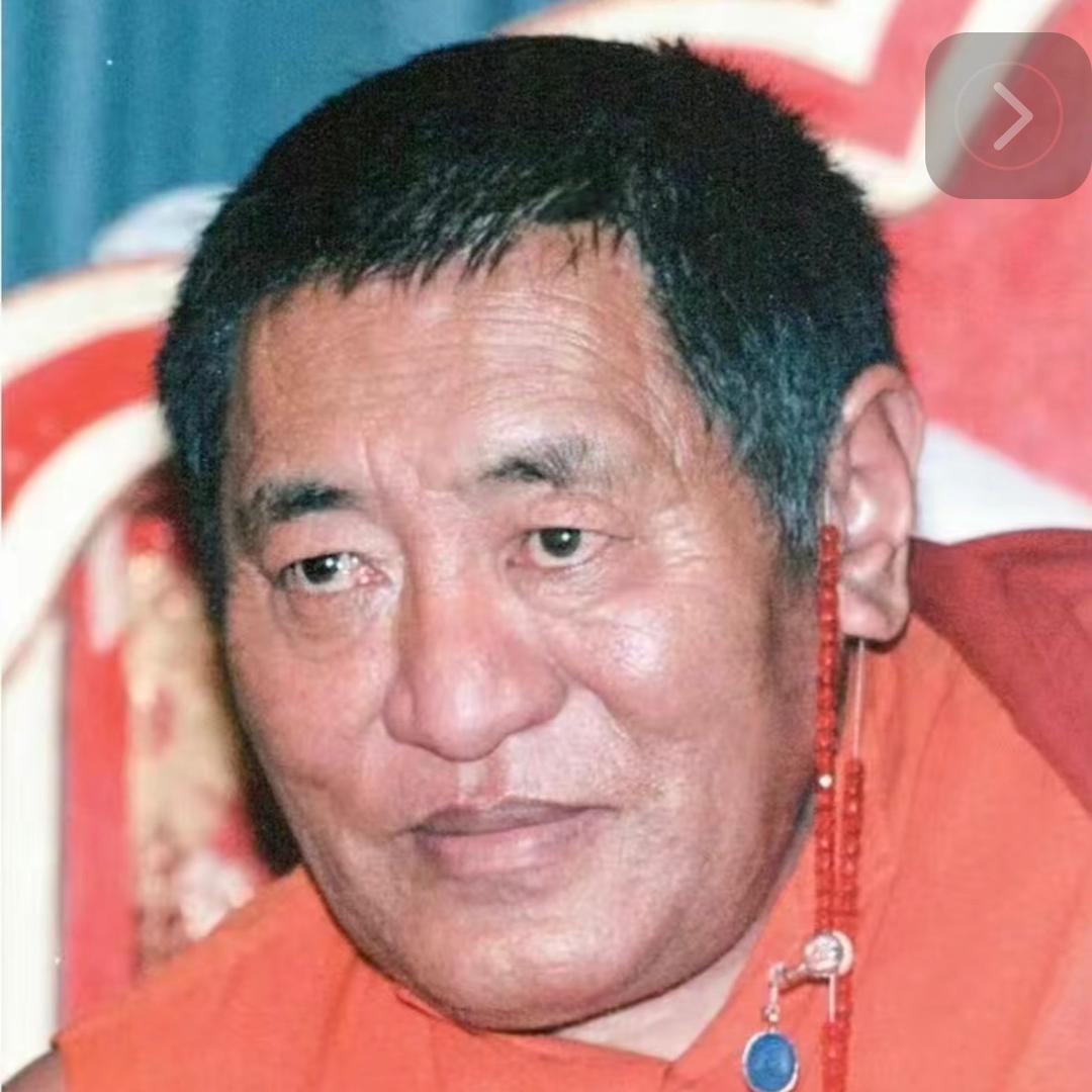 世界🌍和平