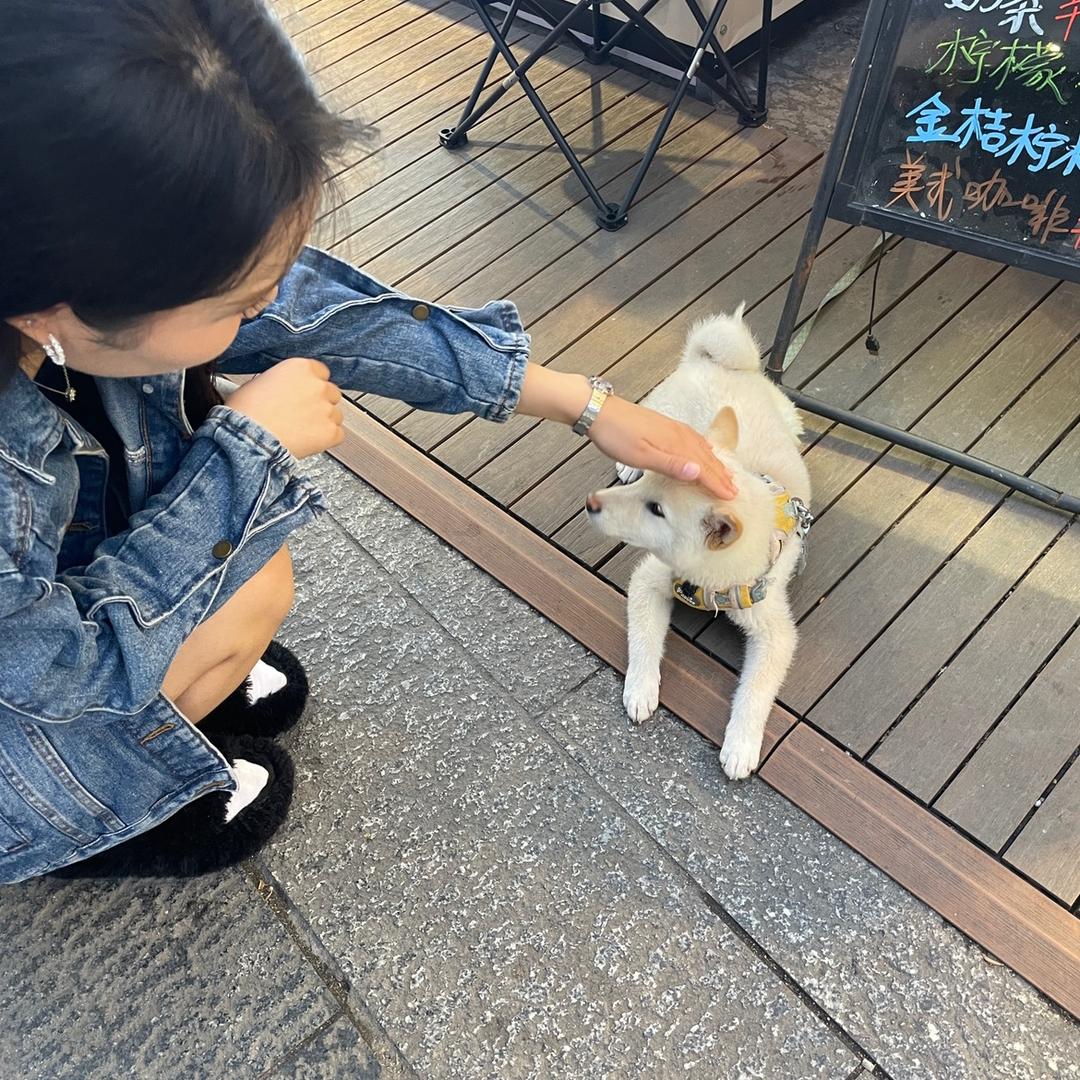 好梦