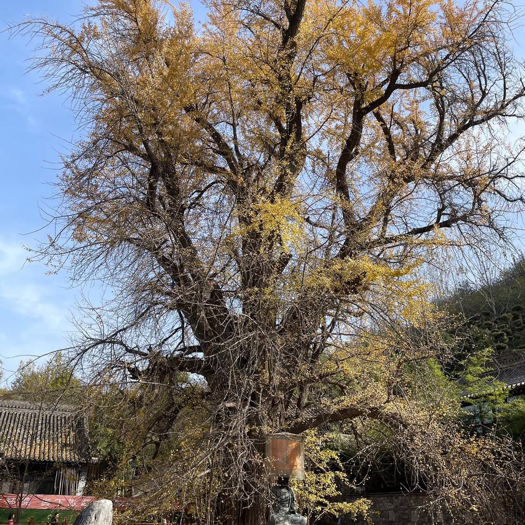 王老师说健康