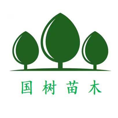 国树苗木种植基地