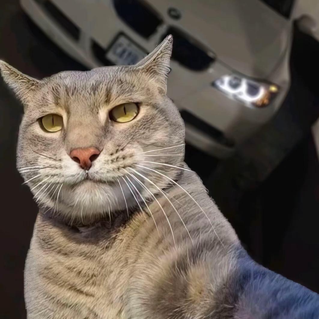 猛踹瘸子那条好腿