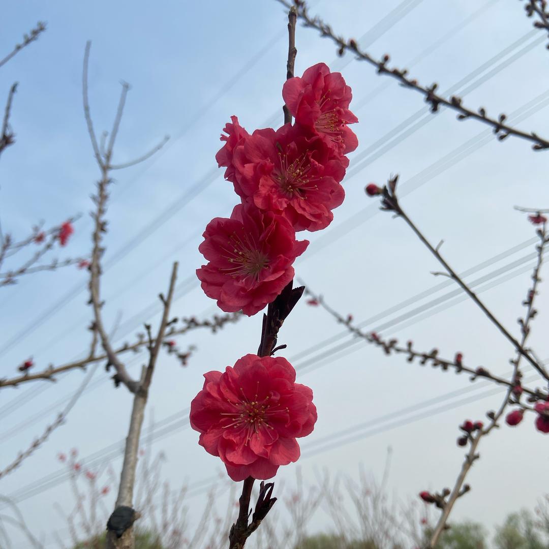 岁月静好