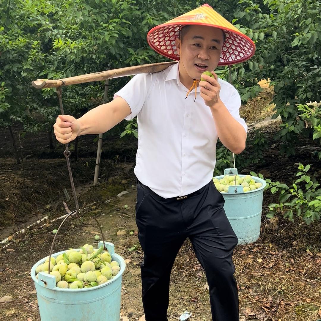 竹林堂董事长唐僧哥哥助农（三华李热卖……