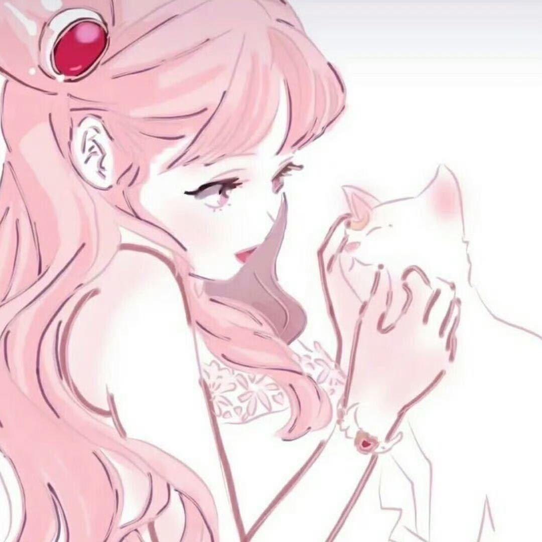 知世🌙