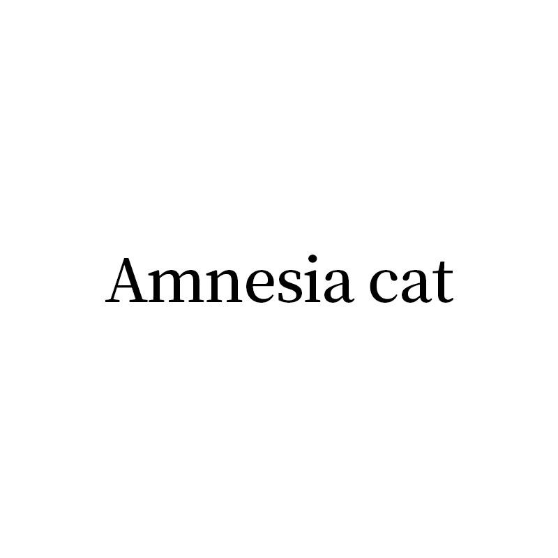 Amnesia cat失忆猫