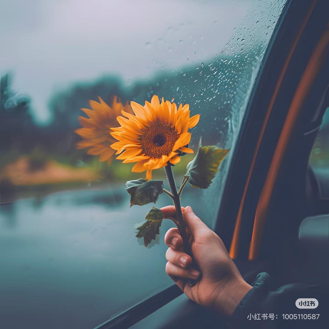 拾柒柒柒柒柒柒柒